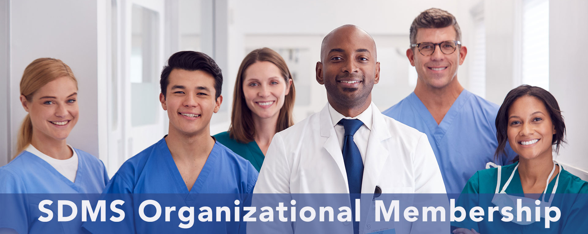 SDMS Organizational Membership